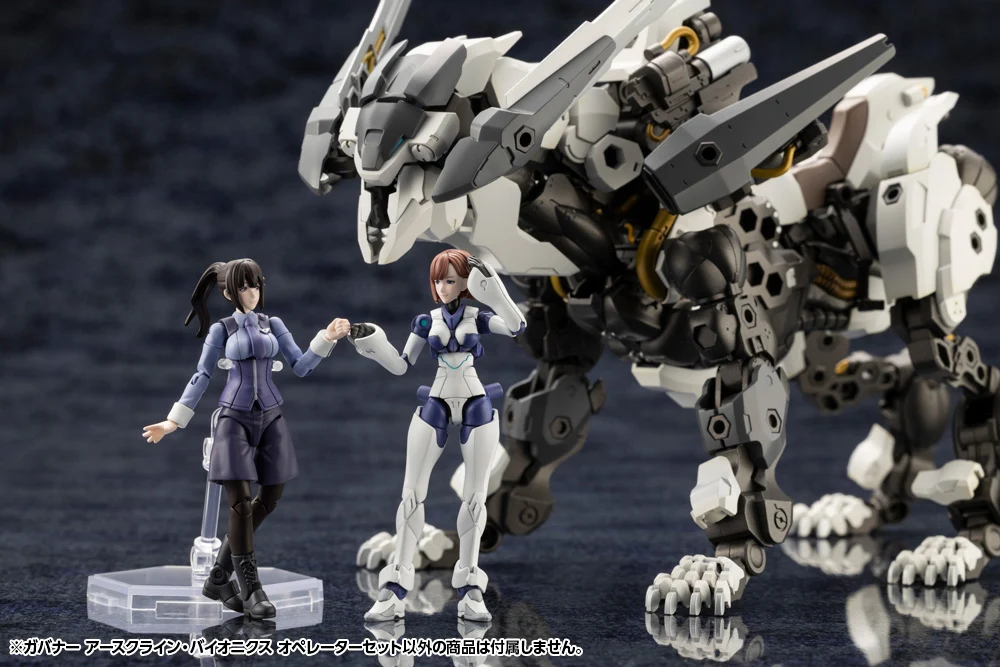 EARTHCLINE BIOMECHANICS OPERATORS - Image 13