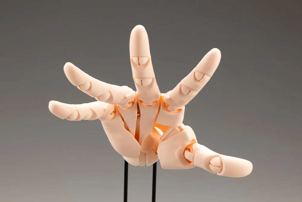 ARTIST SUPPORT ITEM HAND MODEL/L -PALE ORANGE- - Image 3