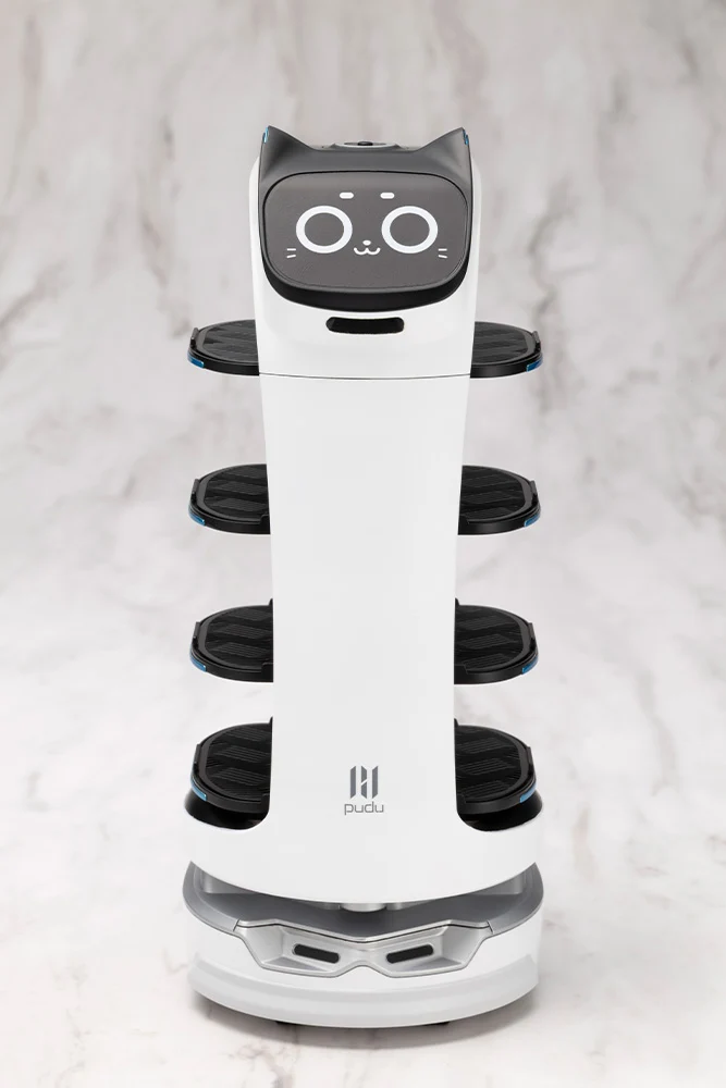 GRANDE SCALE BellaBot - Image 2
