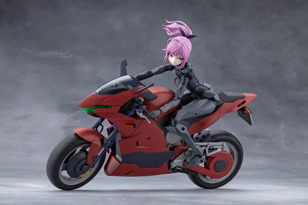 EMULATOR RIDING PACKAGE - Image 4